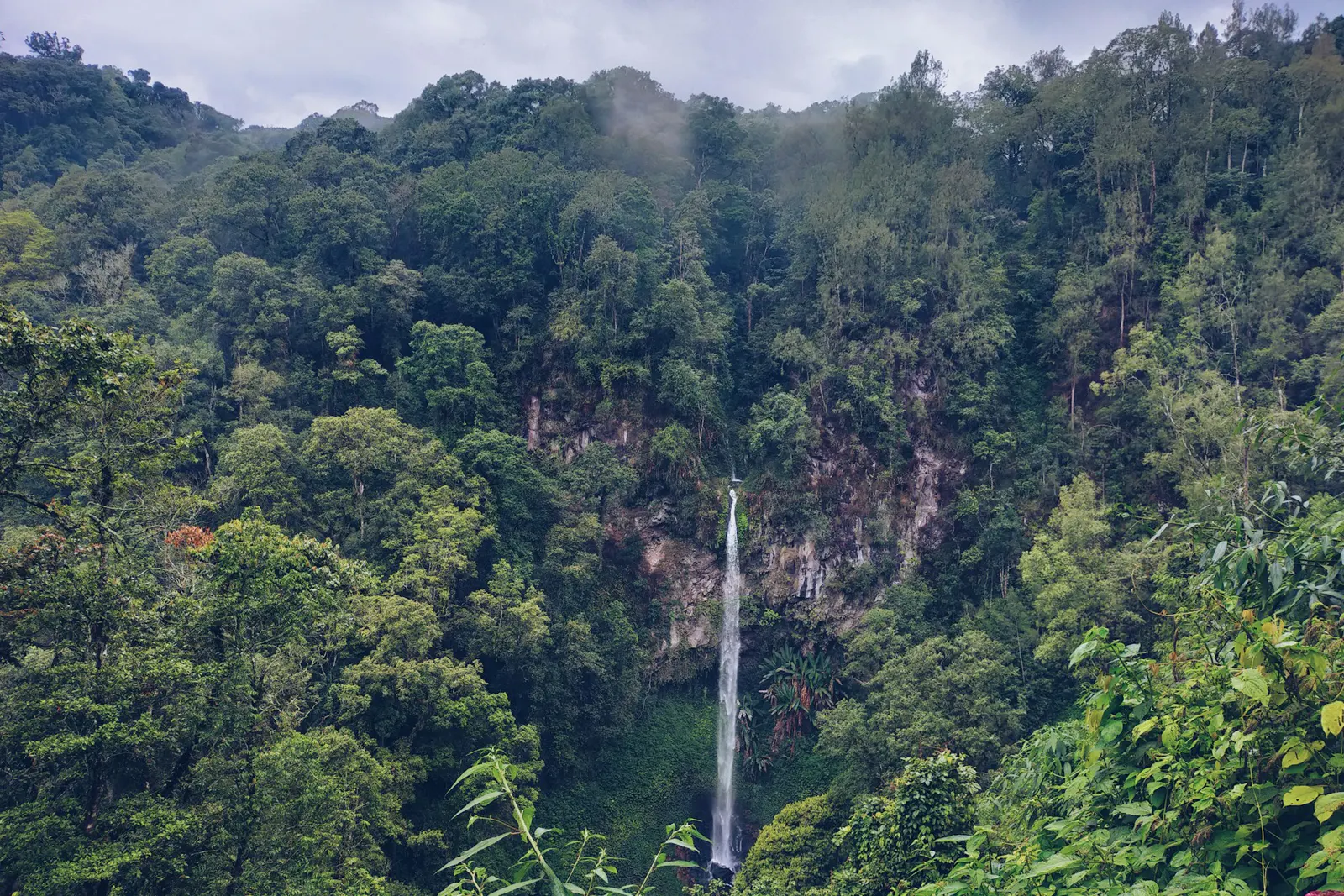 pelestarian lingkungan